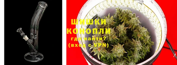 PSILOCYBIN Бугульма