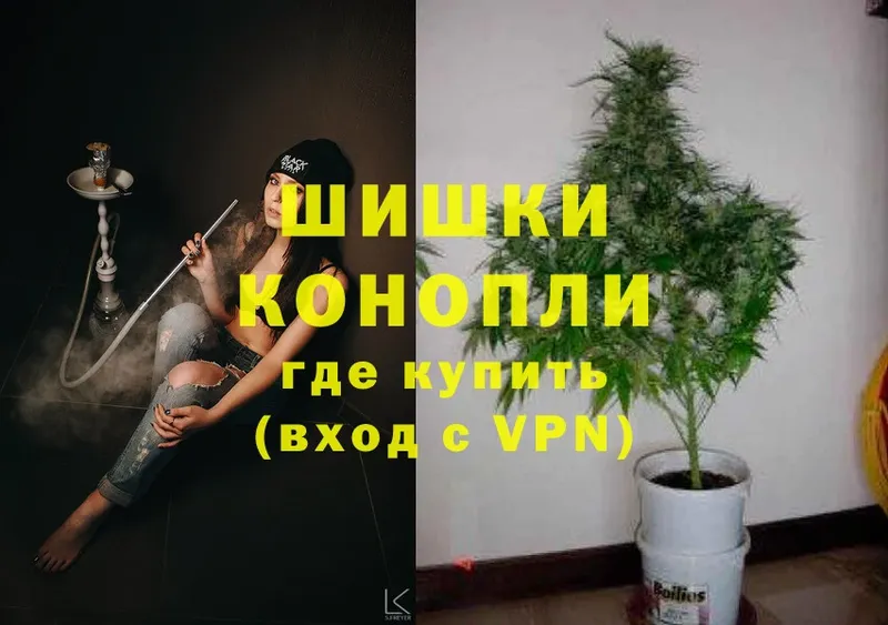 blacksprut ТОР  Медынь  Канабис White Widow 